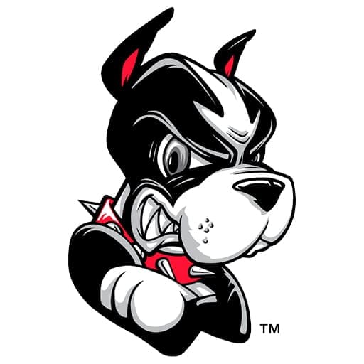 Boston University Terriers vs. UConn Huskies