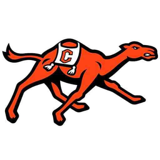 Campbell Fighting Camels Basketball